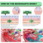 SMGT-GLP-1 Nano-Microneedle Patch